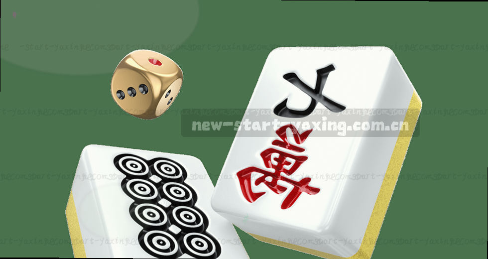 亚洲星体育TSB2登录迎来新起点：数据整合功能与移动端同步最新动态